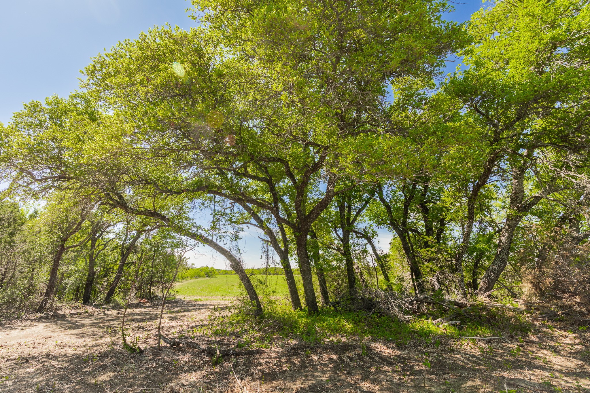 Tbd C.r. 120 Coleman TX 76834