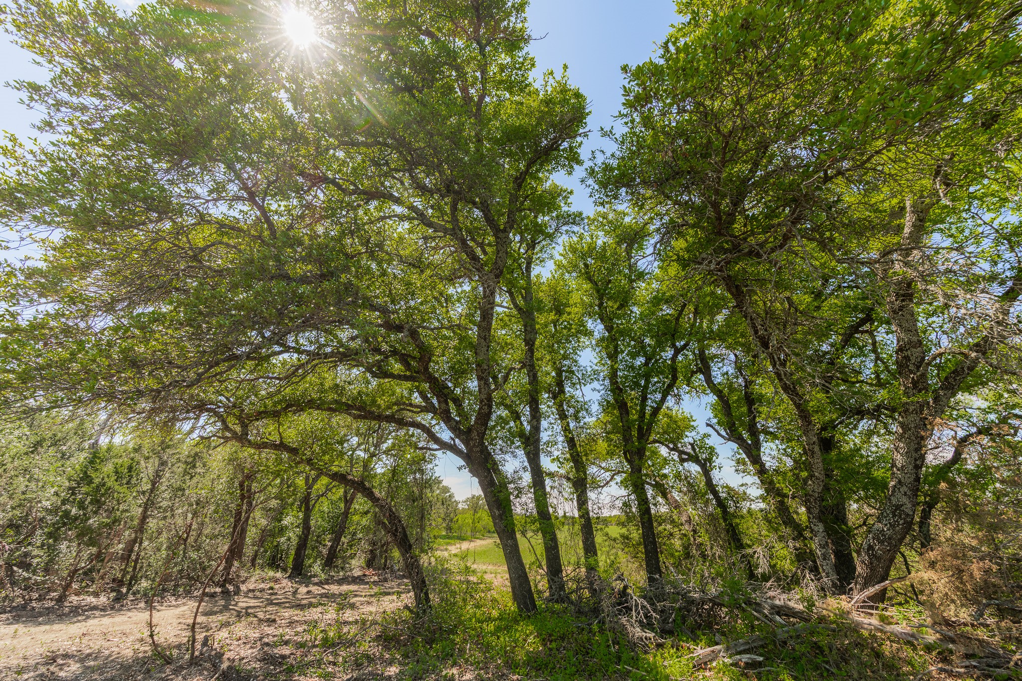 Tbd C.r. 120 Coleman TX 76834