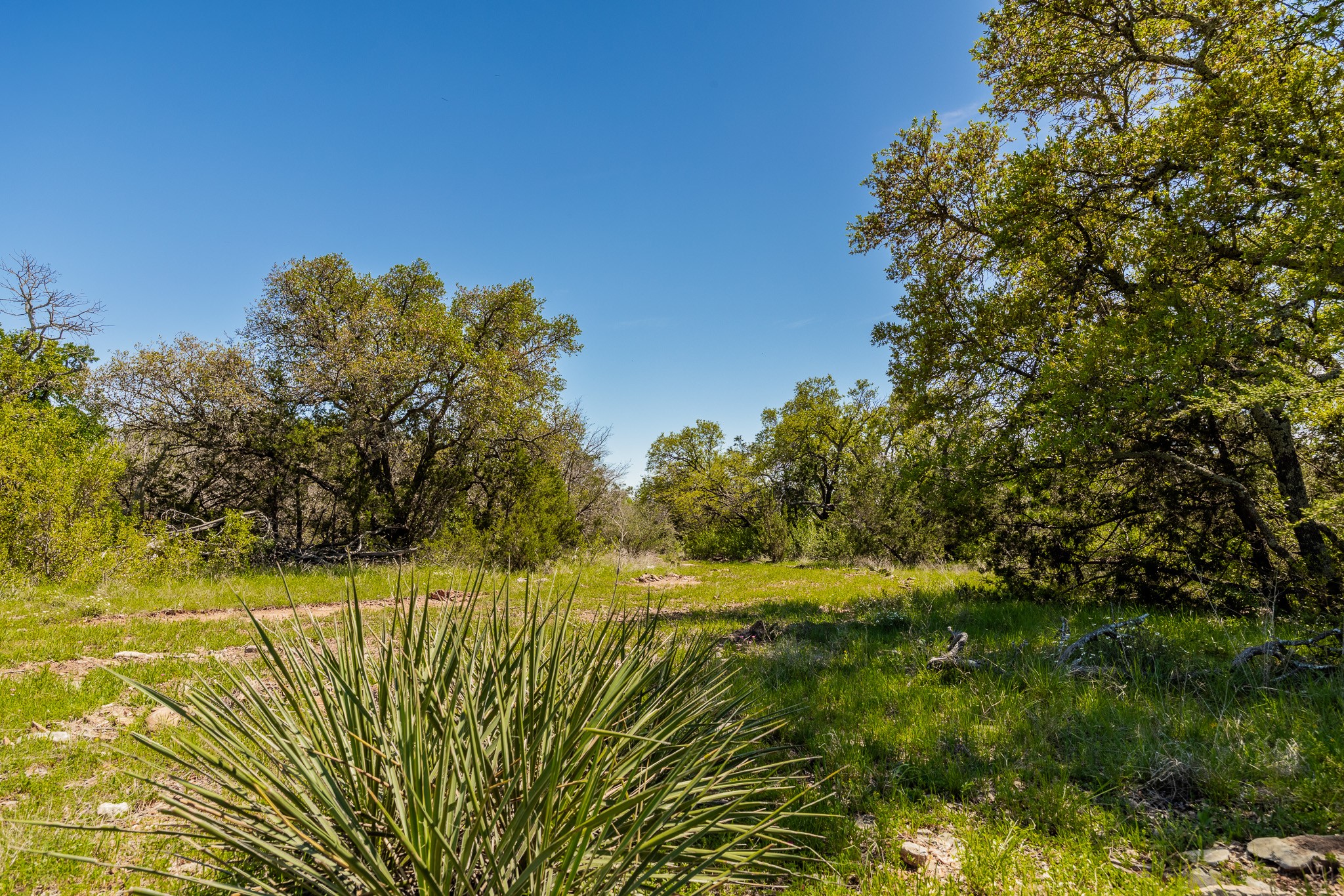 Tbd C.r. 120 Coleman TX 76834