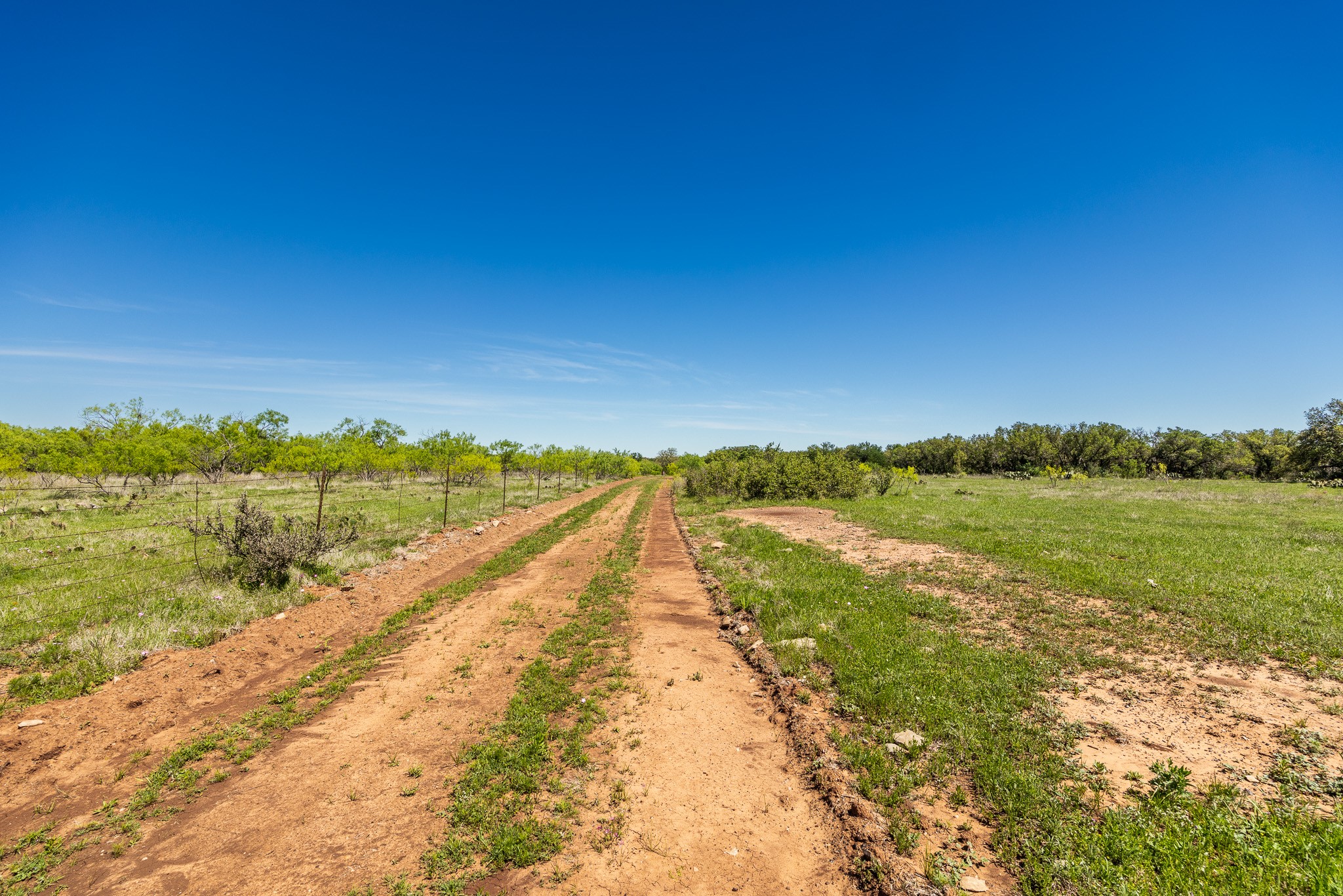Tbd C.r. 120 Coleman TX 76834