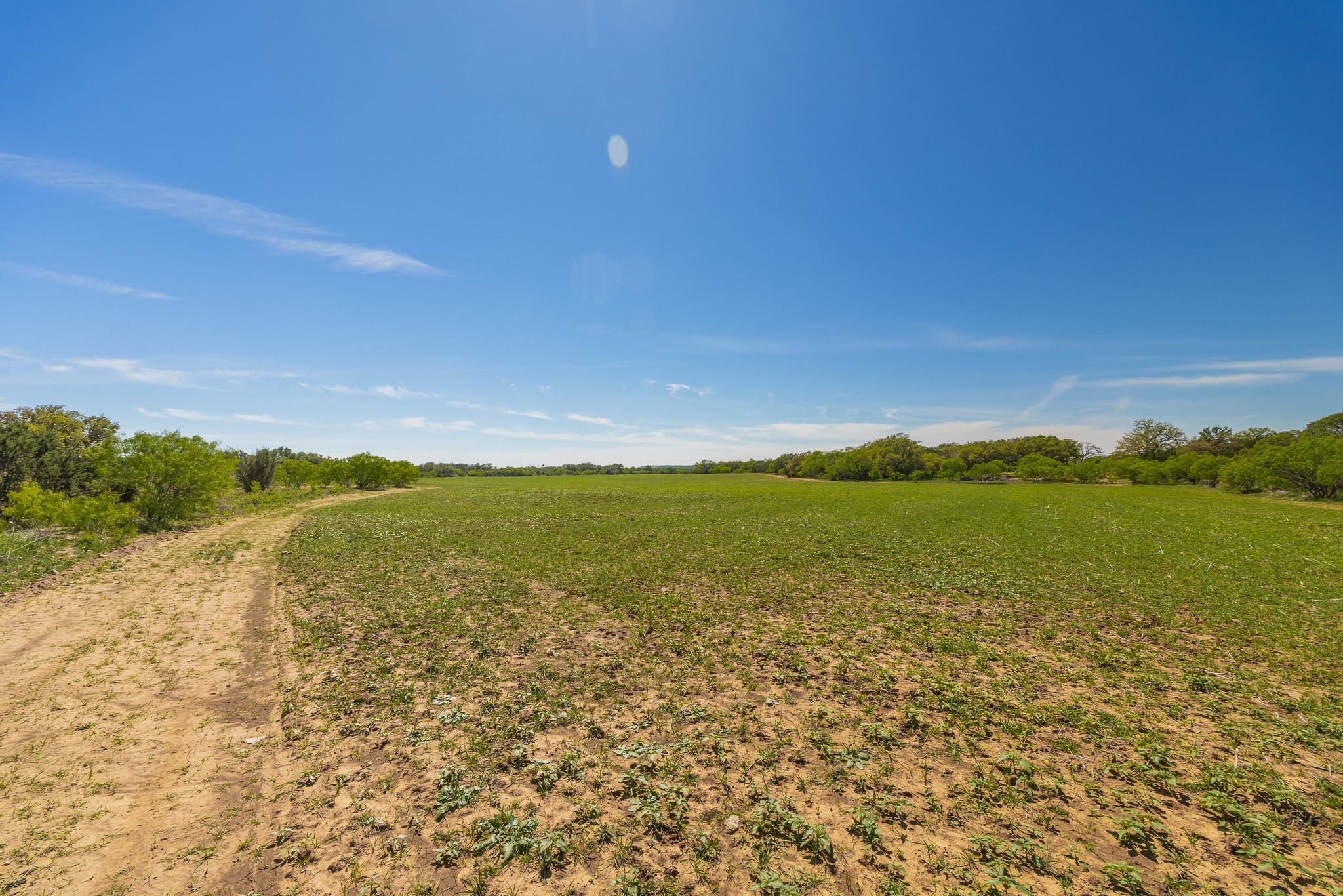 Tbd C.r. 120 Coleman TX 76834