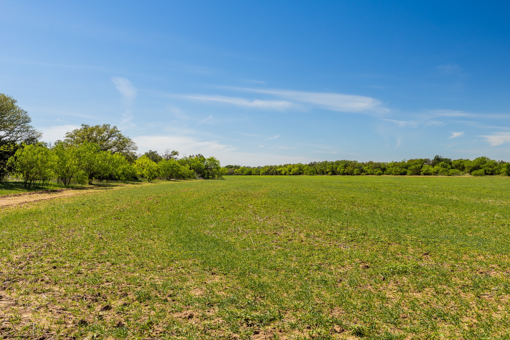 Tbd C.r. 120 Coleman TX 76834