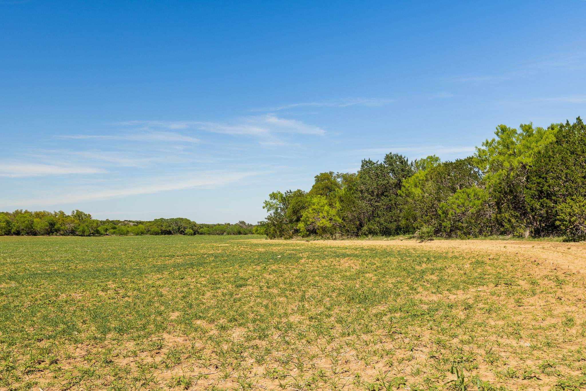 Tbd C.r. 120 Coleman TX 76834
