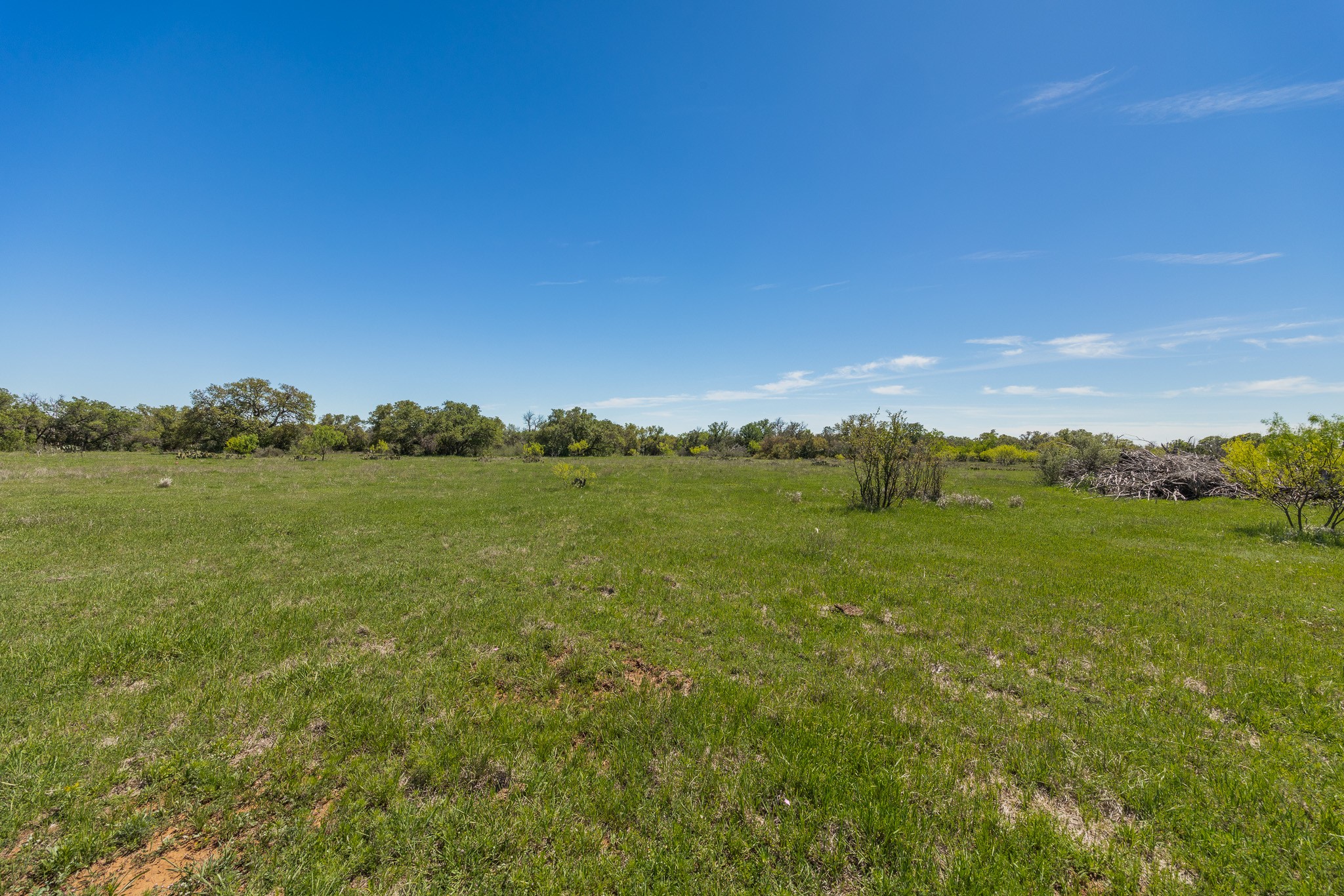 Tbd C.r. 120 Coleman TX 76834