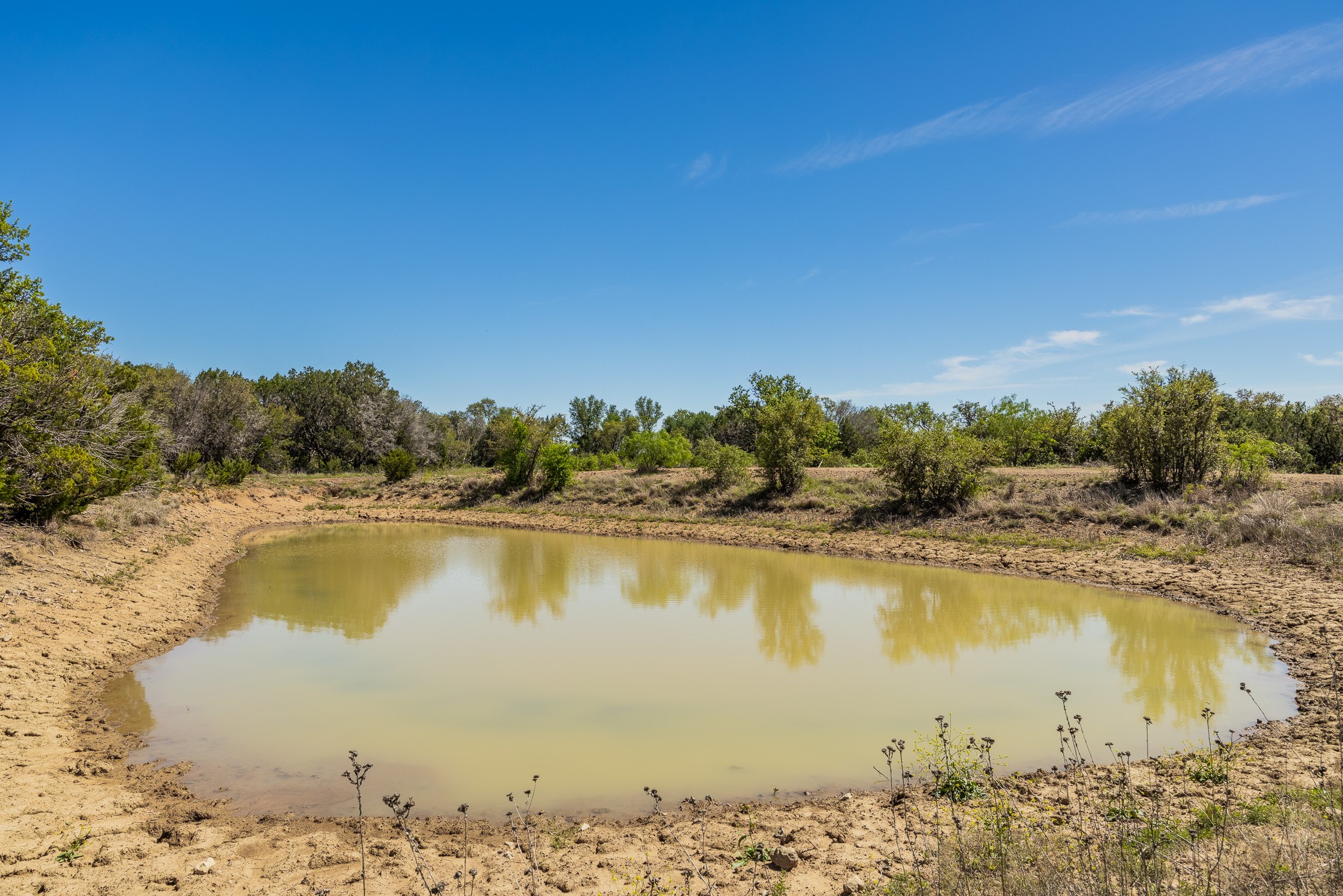 Tbd C.r. 120 Coleman TX 76834
