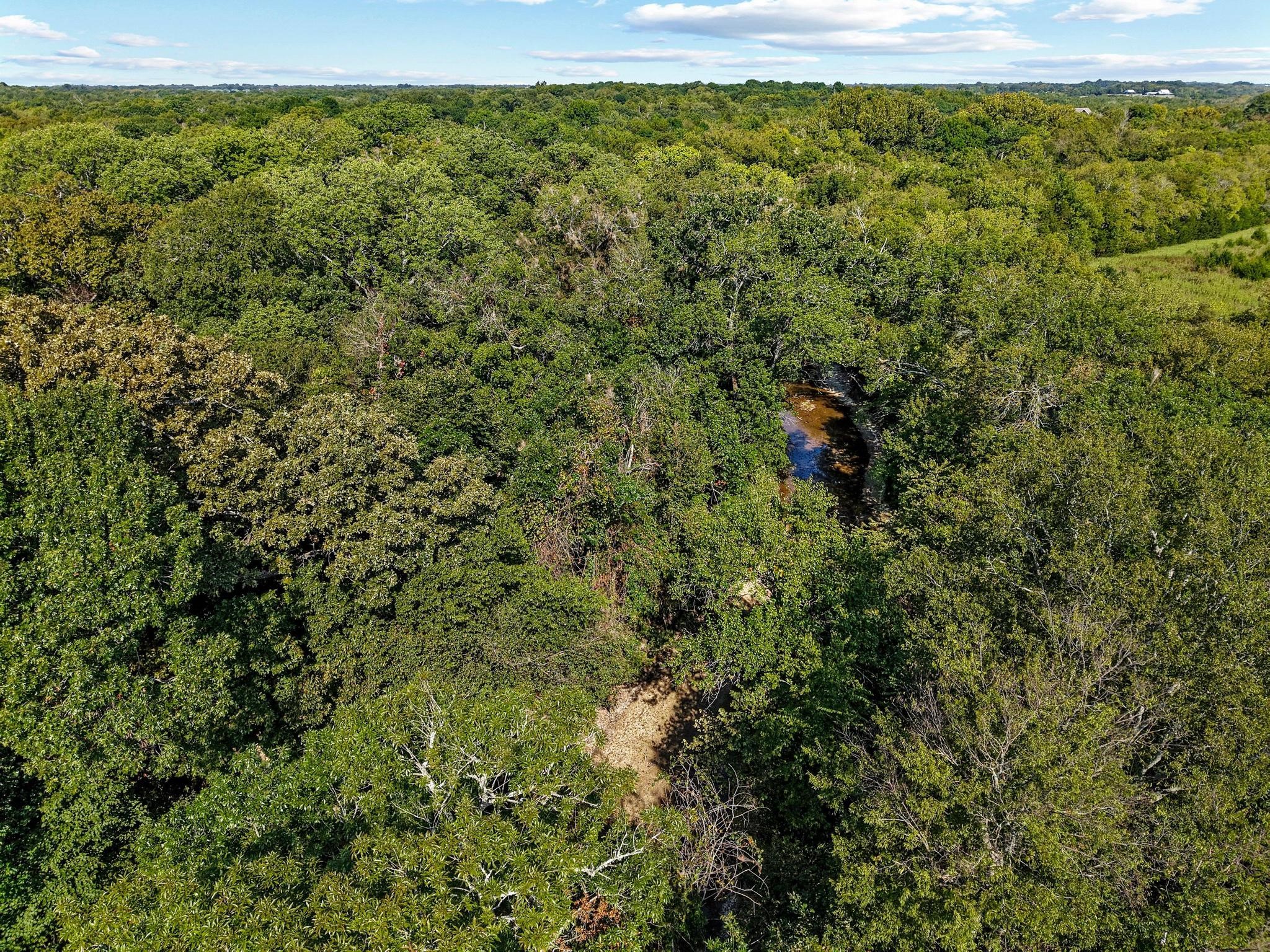0000 County Road 534 Whitewright TX 75491
