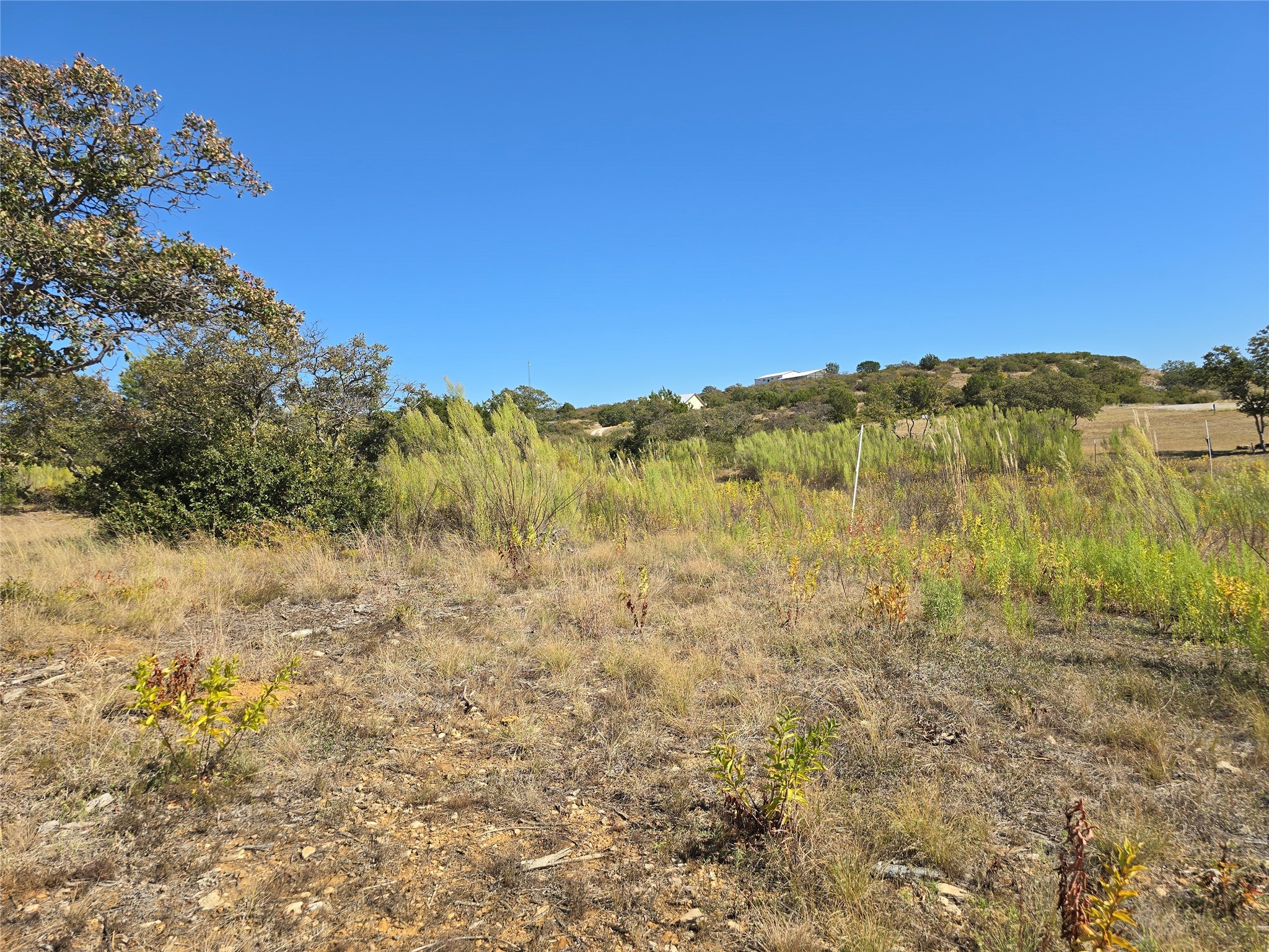 133 Scenic Ridge Drive Cisco TX 76437