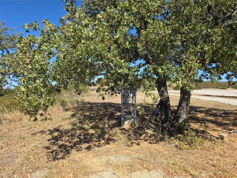 133 Scenic Ridge Drive Cisco TX 76437