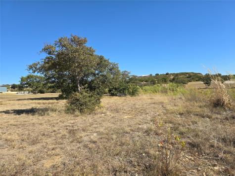 133 Scenic Ridge Drive Cisco TX 76437