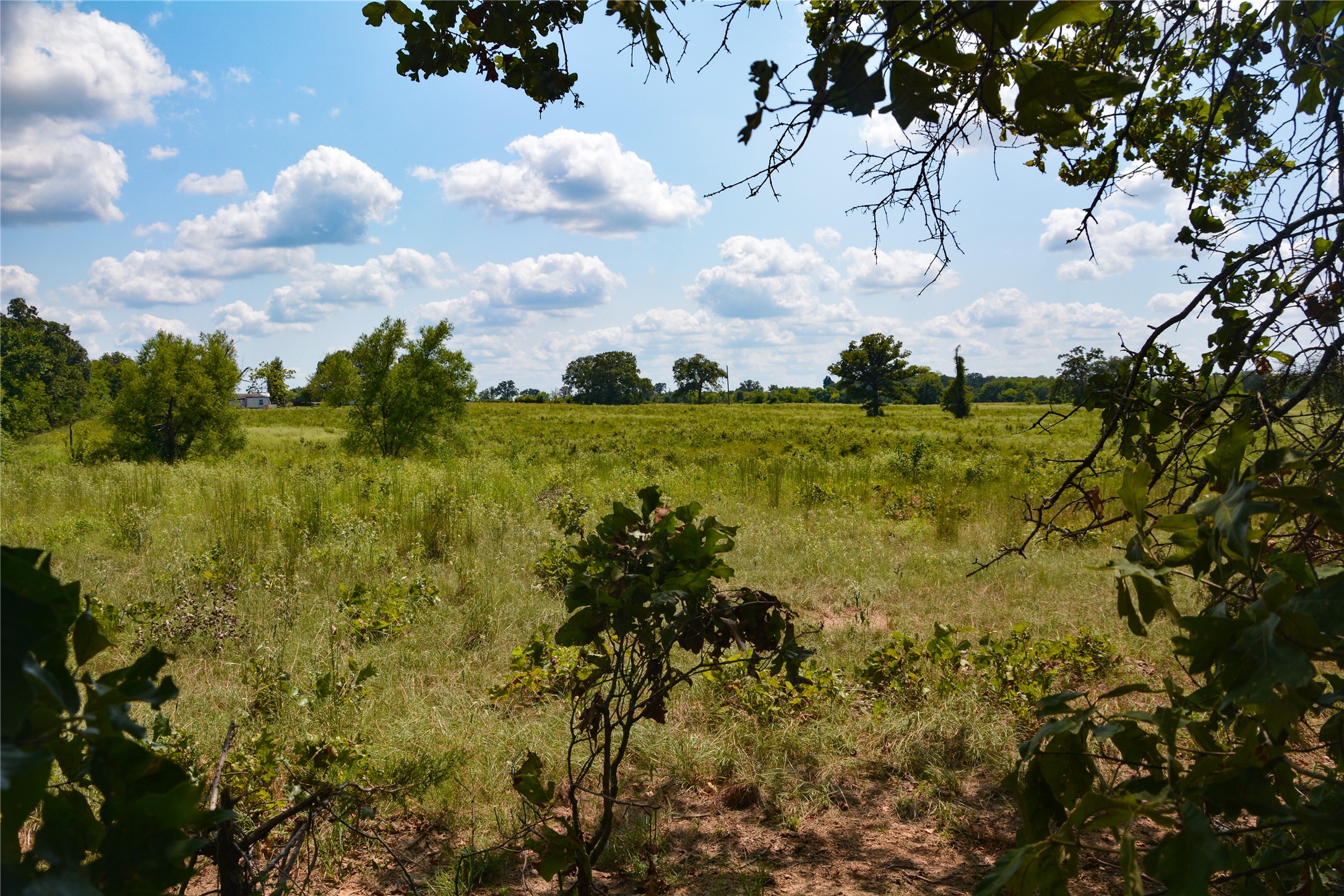 Tbd Vz County Road 1821 Grand Saline TX 75140