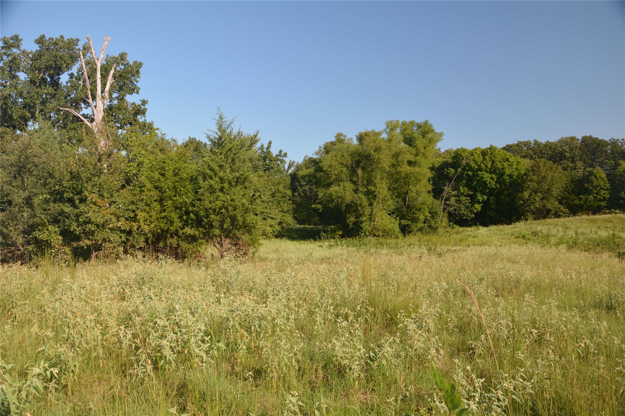 Tbd Vz County Road 1821 Grand Saline TX 75140