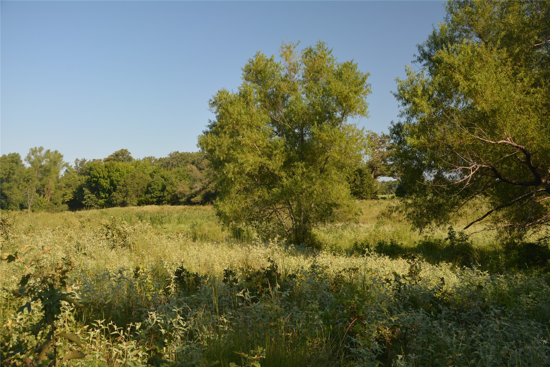 Tbd Vz County Road 1821 Grand Saline TX 75140