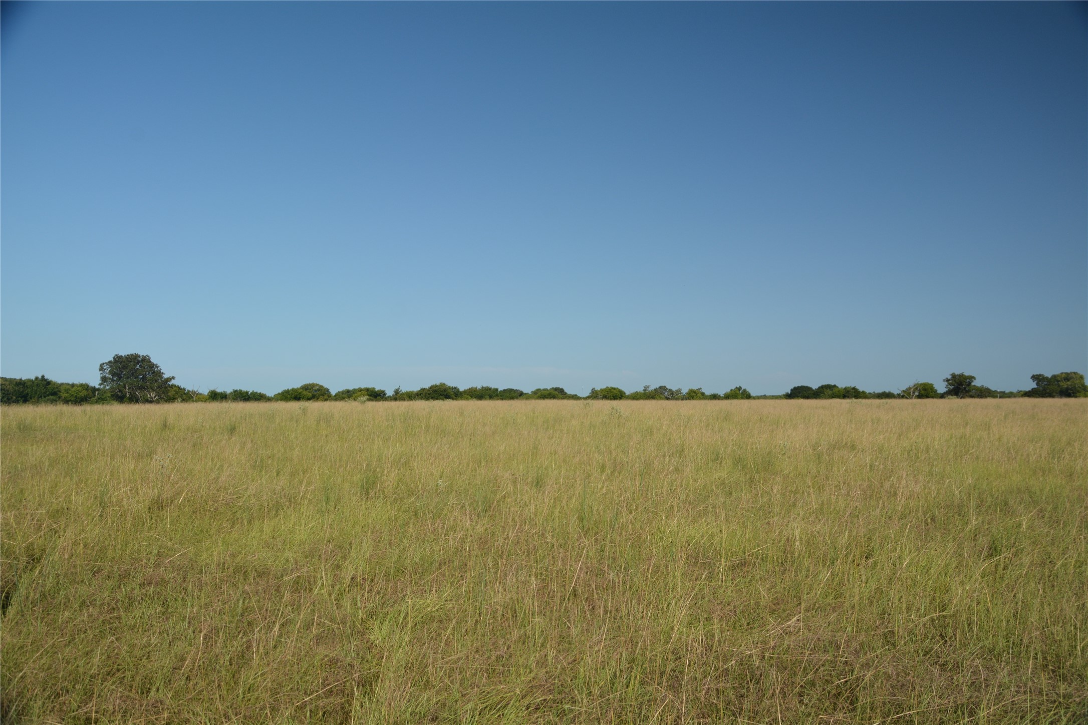 Tbd Vz County Road 1821 Grand Saline TX 75140