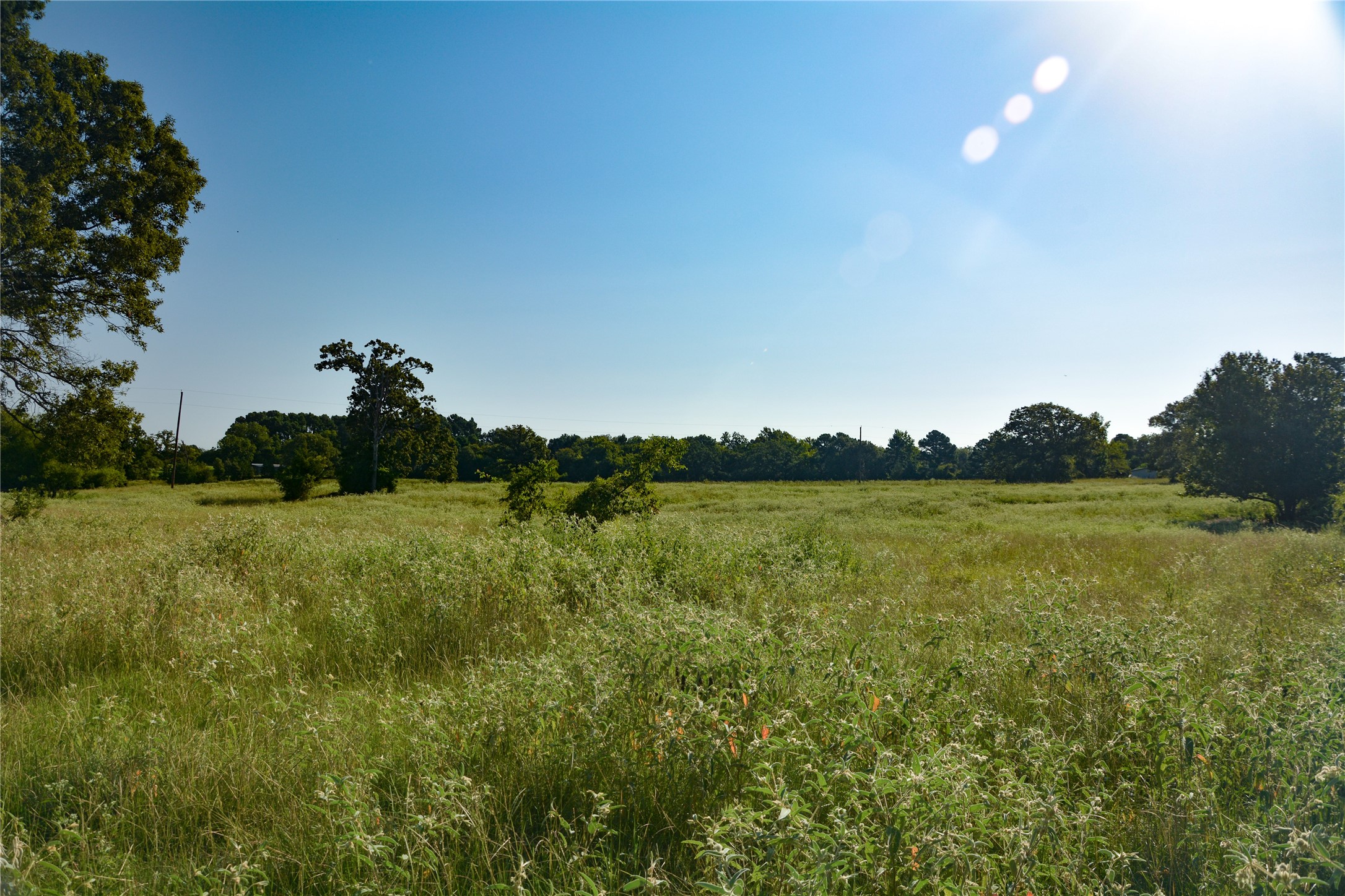 Tbd Vz County Road 1821 Grand Saline TX 75140