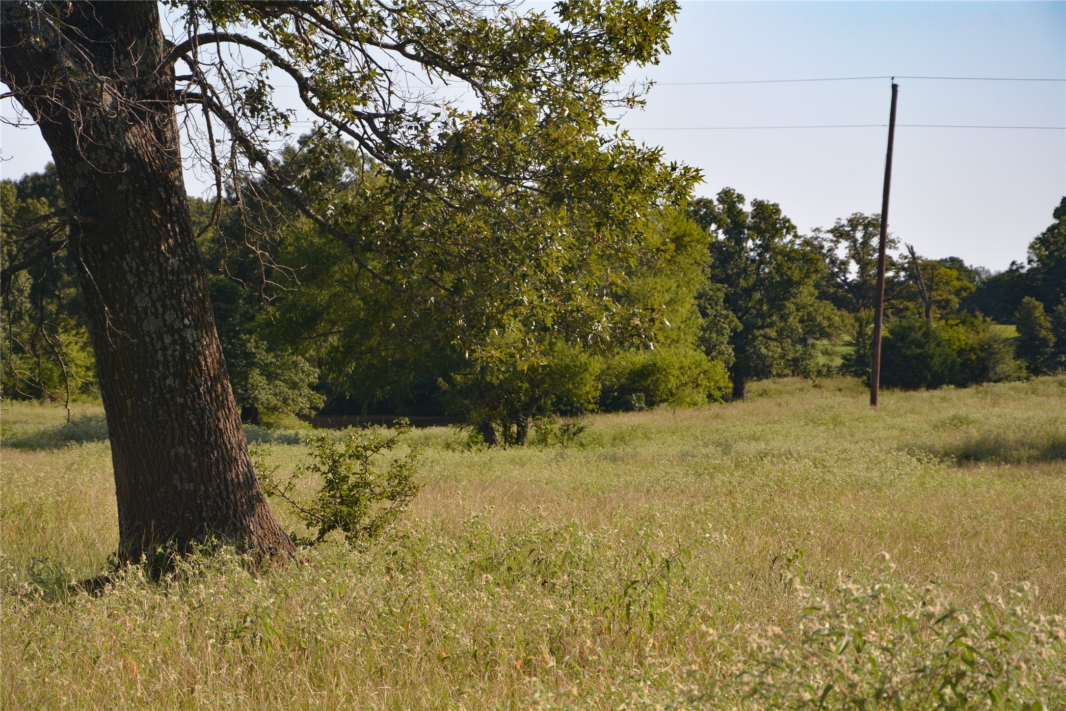 Tbd Vz County Road 1821 Grand Saline TX 75140