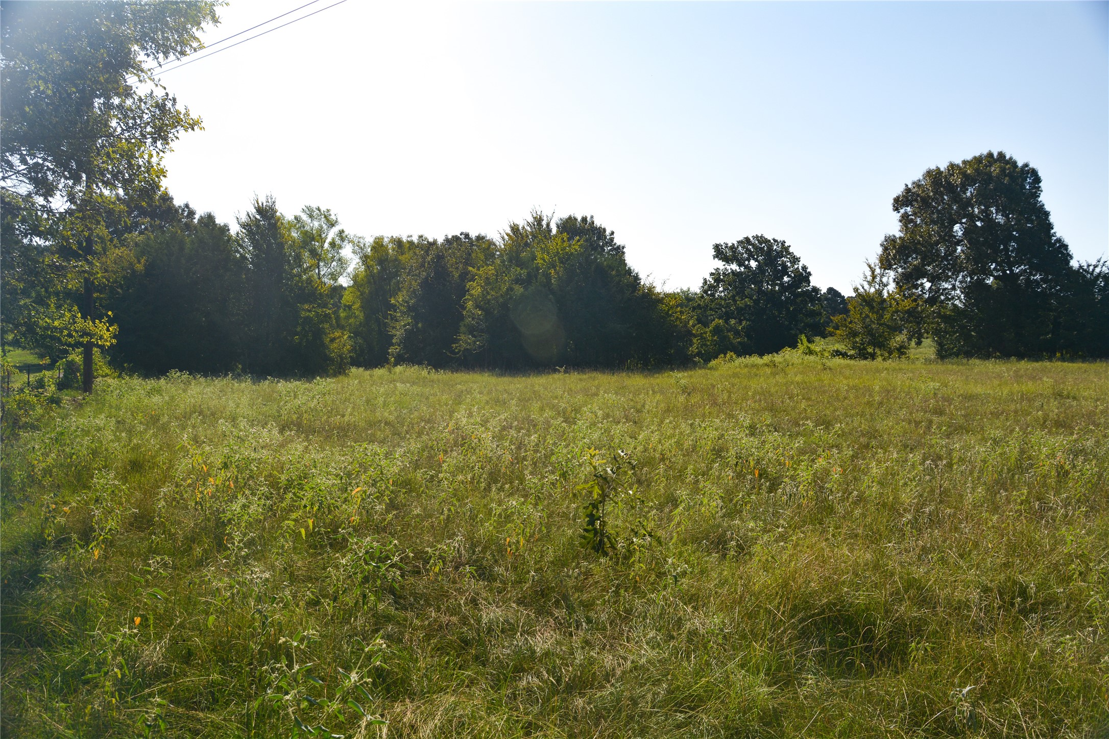 Tbd Vz County Road 1821 Grand Saline TX 75140