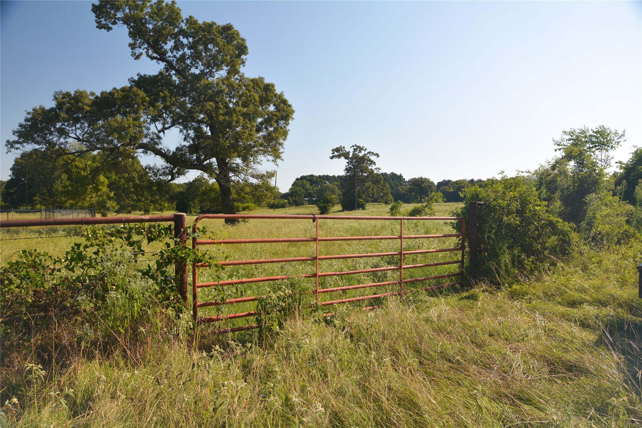 Tbd Vz County Road 1821 Grand Saline TX 75140