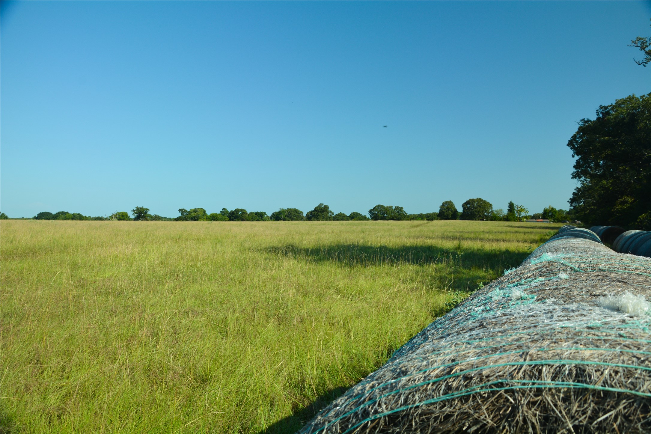 Tbd Vz County Road 1821 Grand Saline TX 75140