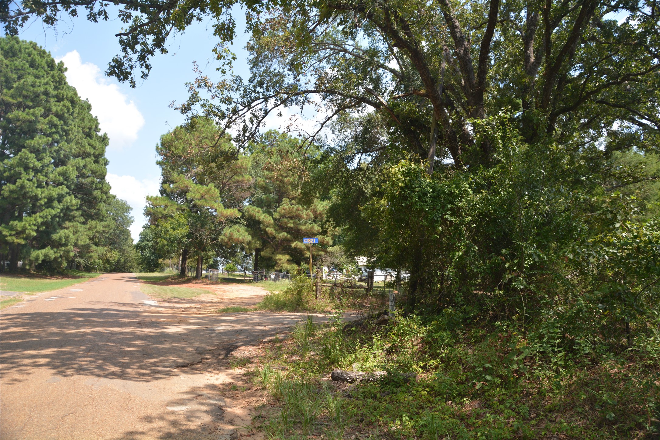 Tbd Vz County Road 1821 Grand Saline TX 75140