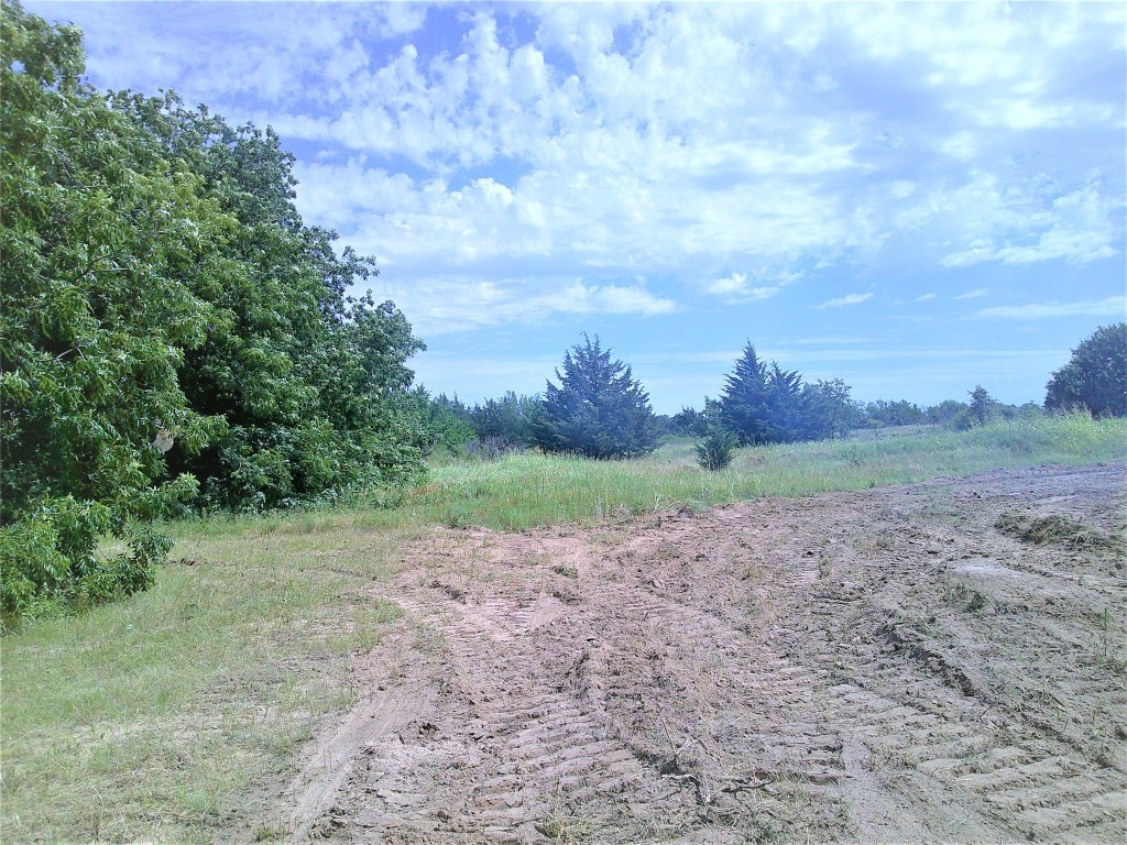 Tr 5 Border Street Montague TX 76251