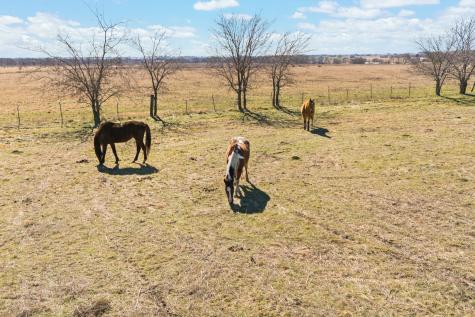 68.37 Acres, Tbd County Road 108 Alvarado TX 76009