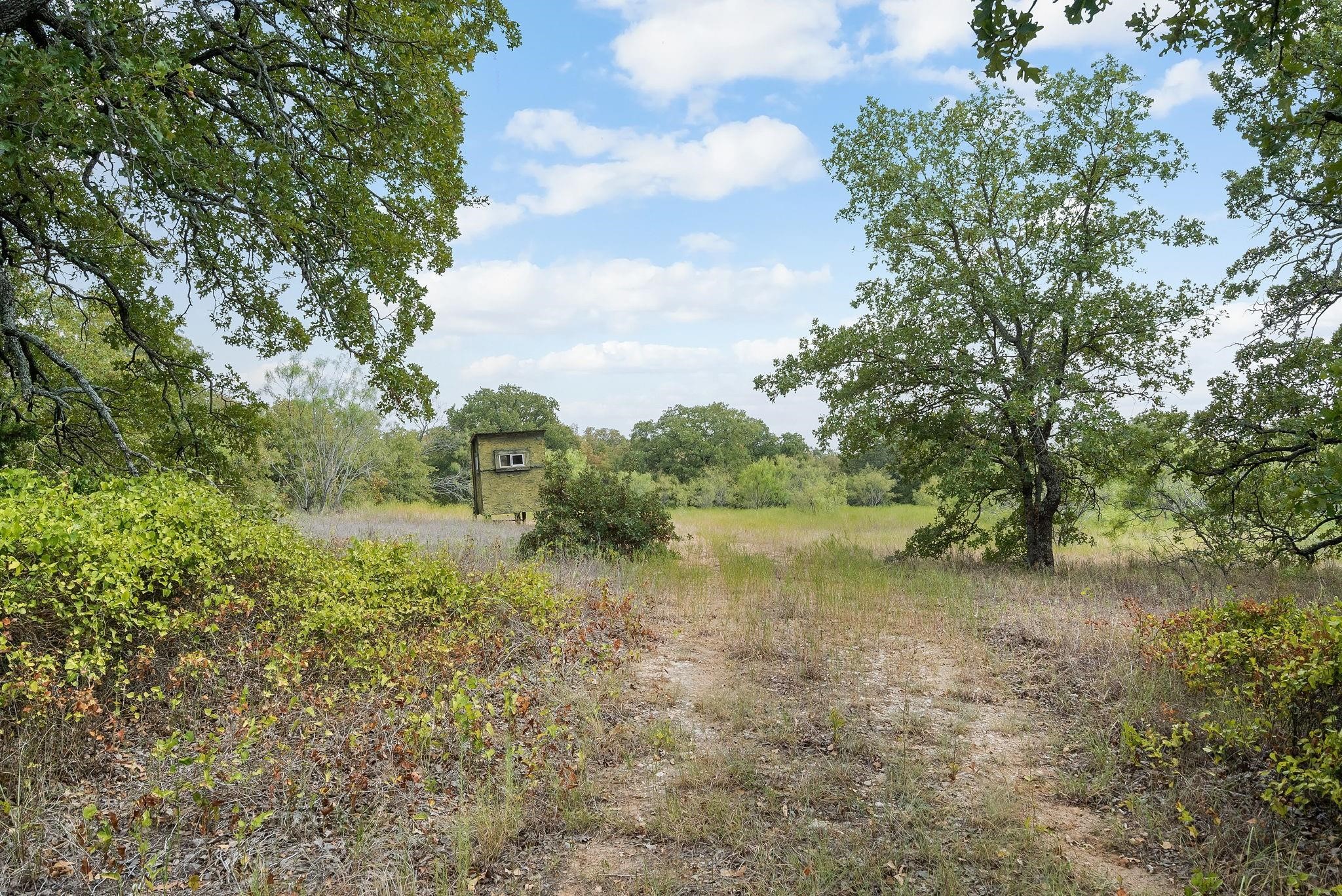 Lot 15 Double B Ranch Road S Perrin TX 76486