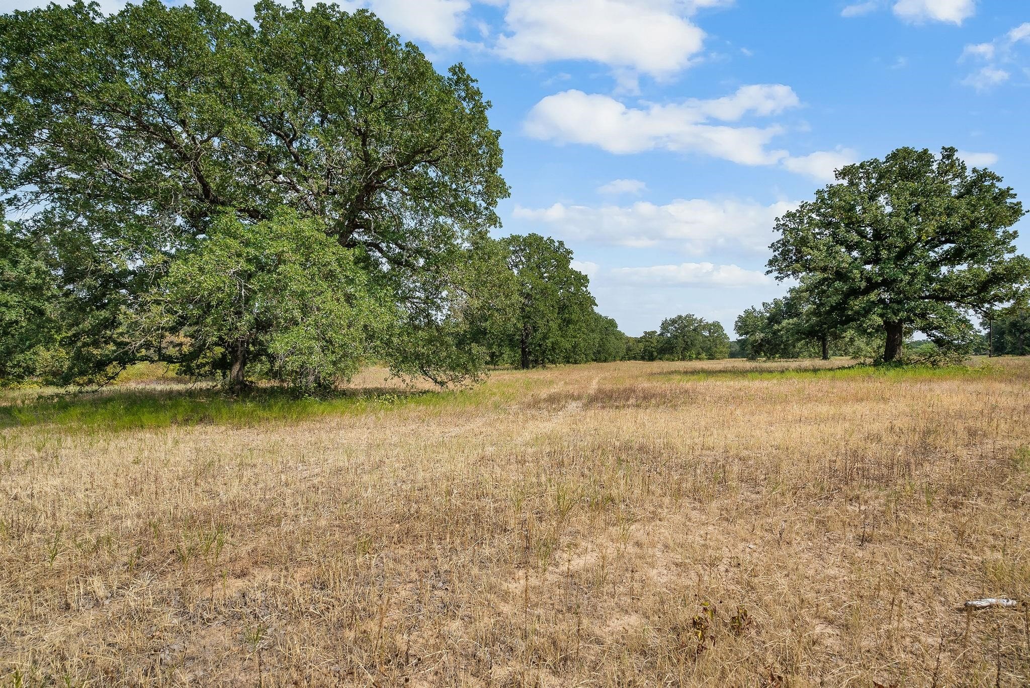 Lot 15 Double B Ranch Road S Perrin TX 76486