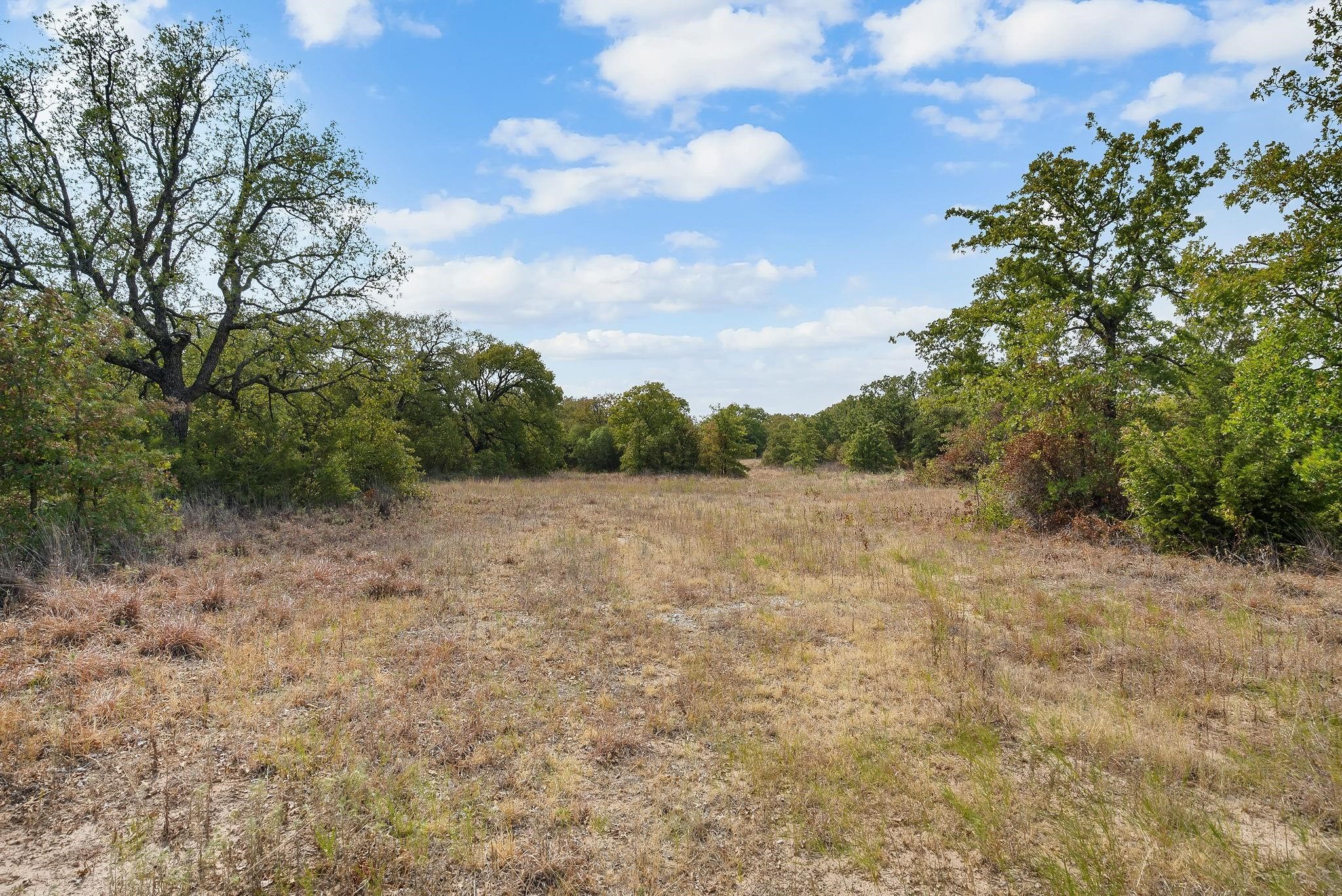 Lot 15 Double B Ranch Road S Perrin TX 76486