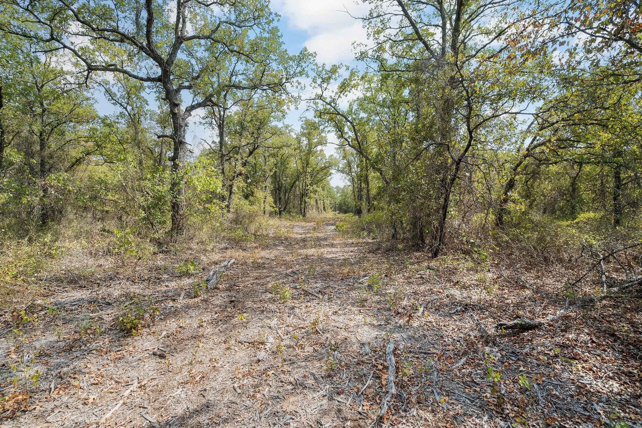Lot 15 Double B Ranch Road S Perrin TX 76486