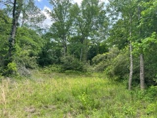 Tbd 6 Fm 1848 Buffalo TX 75831