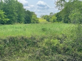 Tbd 6 Fm 1848 Buffalo TX 75831