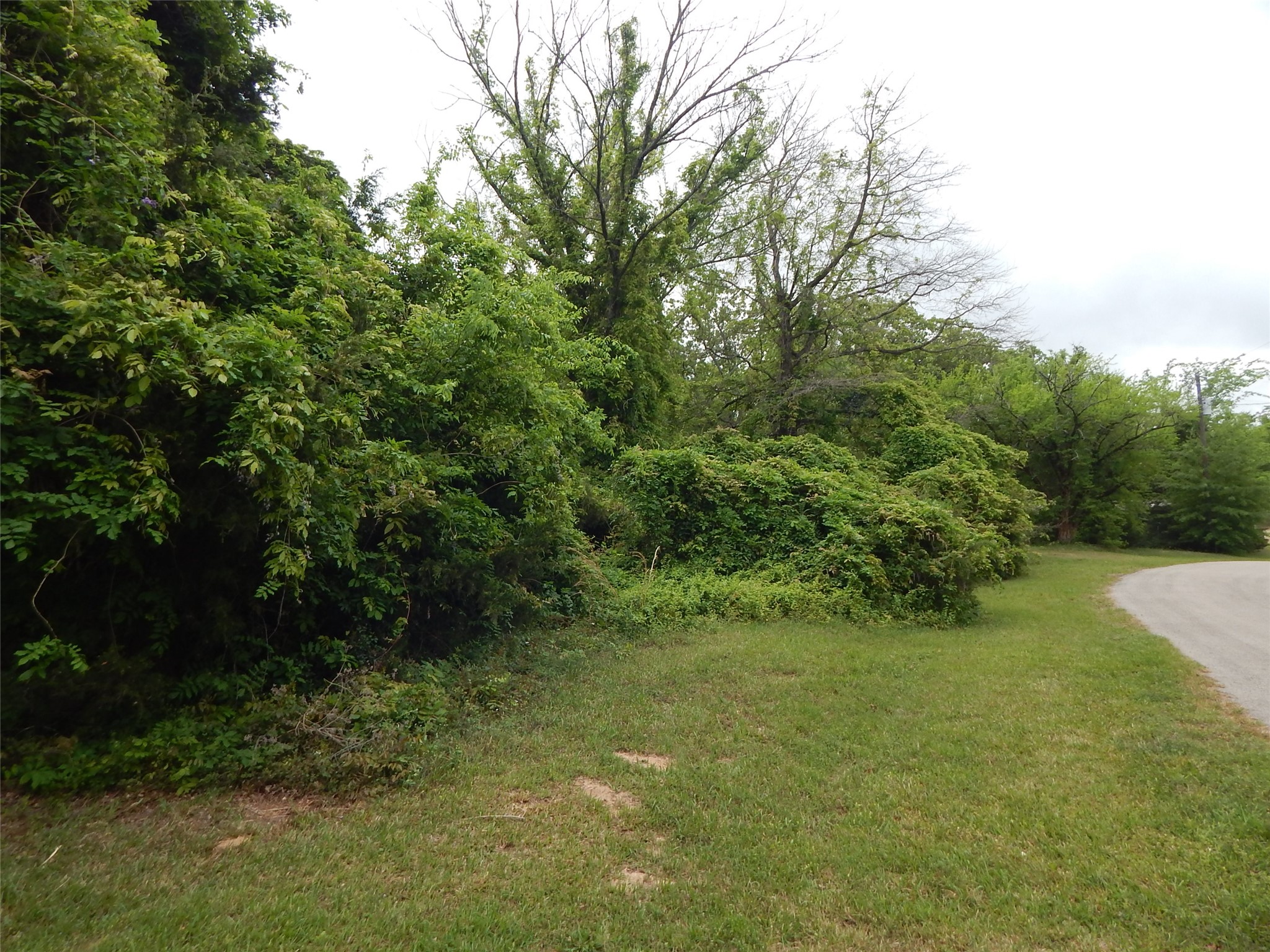 146 Cr 1215 Quitman TX 75783