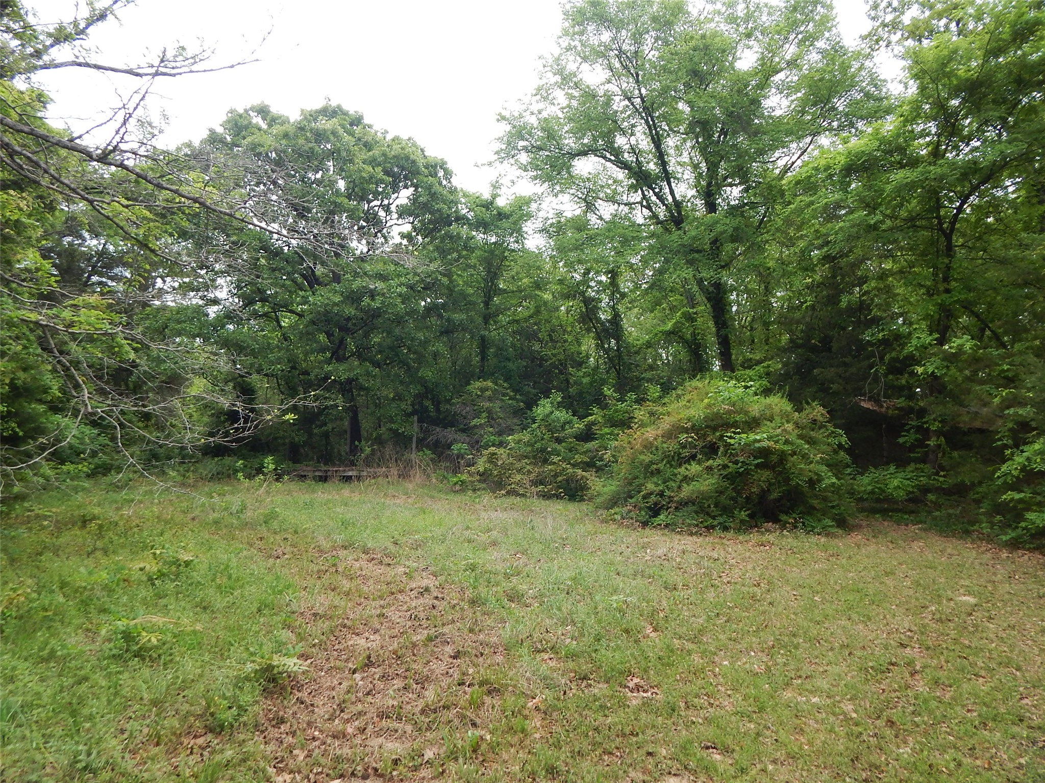 146 Cr 1215 Quitman TX 75783