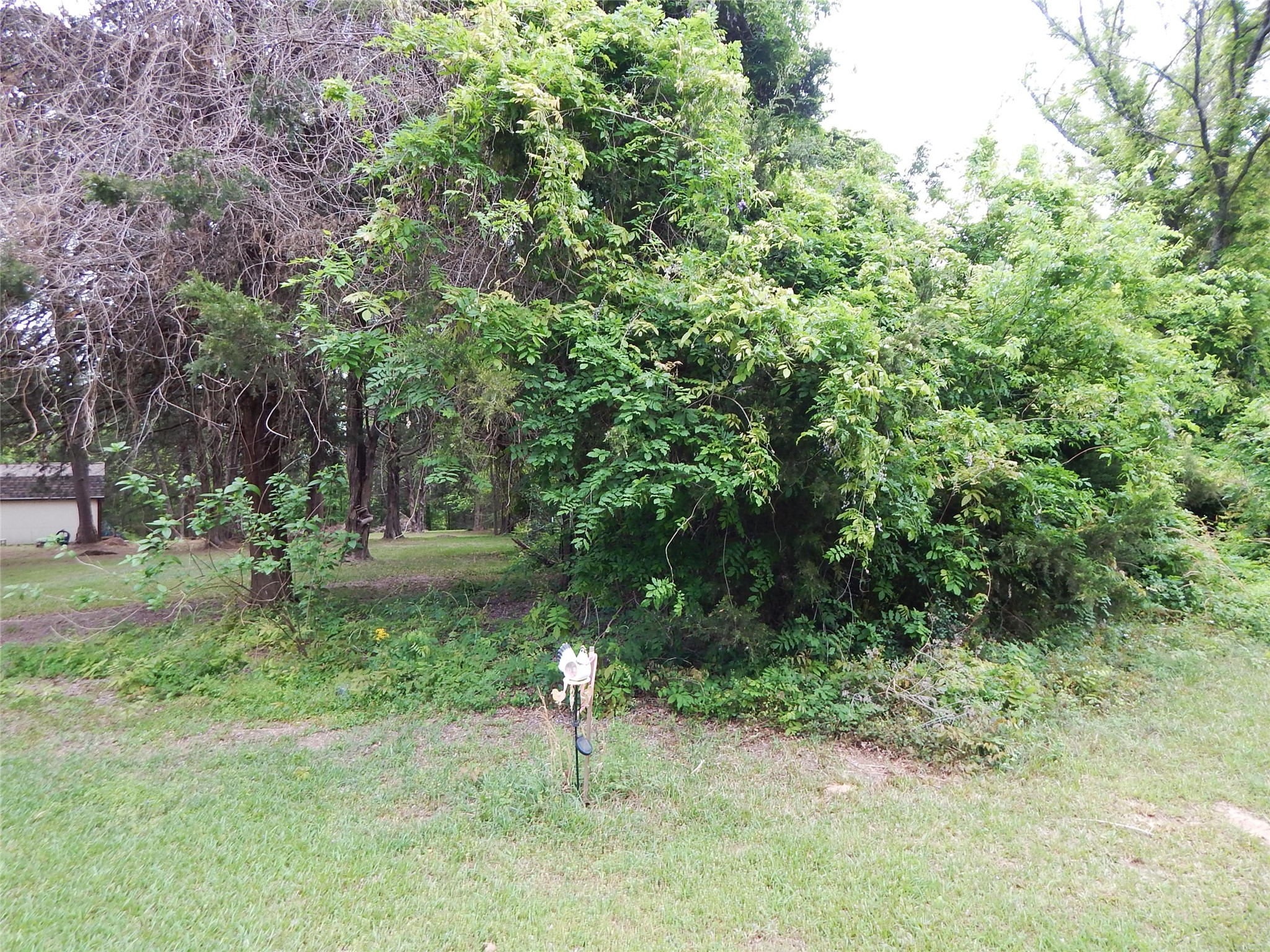 146 Cr 1215 Quitman TX 75783