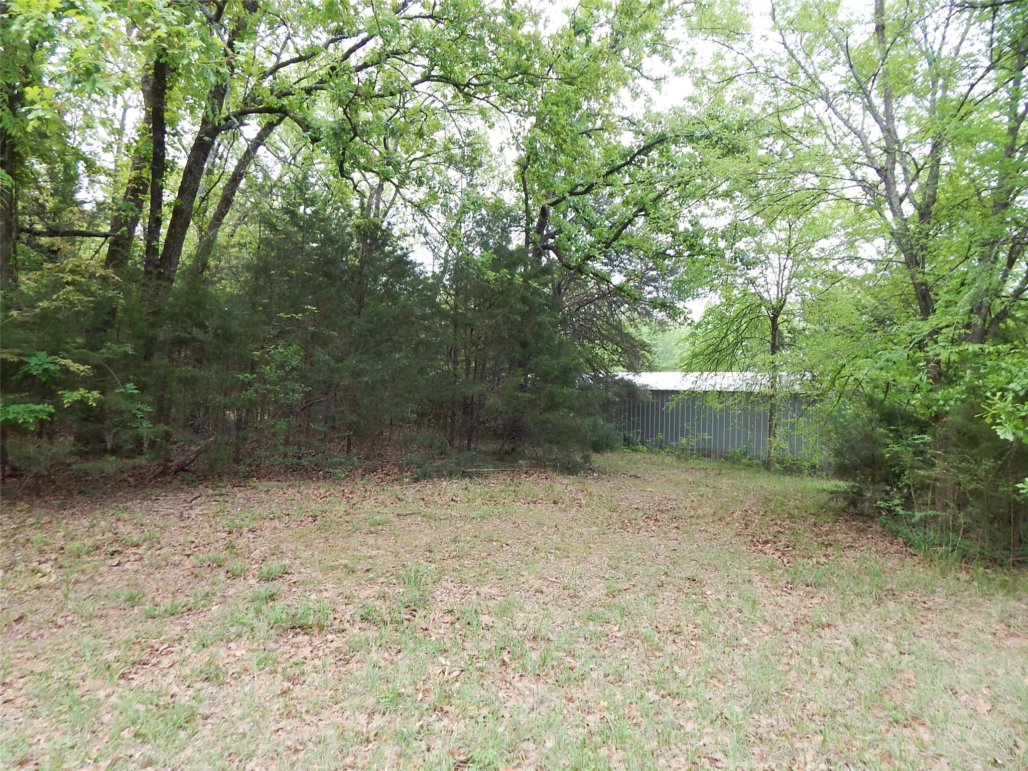 146 Cr 1215 Quitman TX 75783