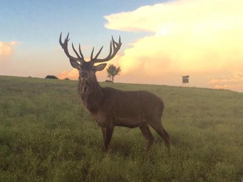 Tract 1 County Road 208 Lampasas TX 76550