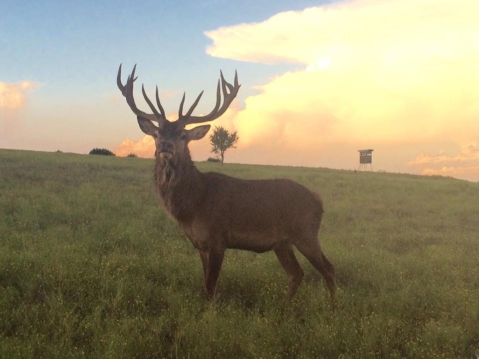 Tract 1 County Road 208 Lampasas TX 76550