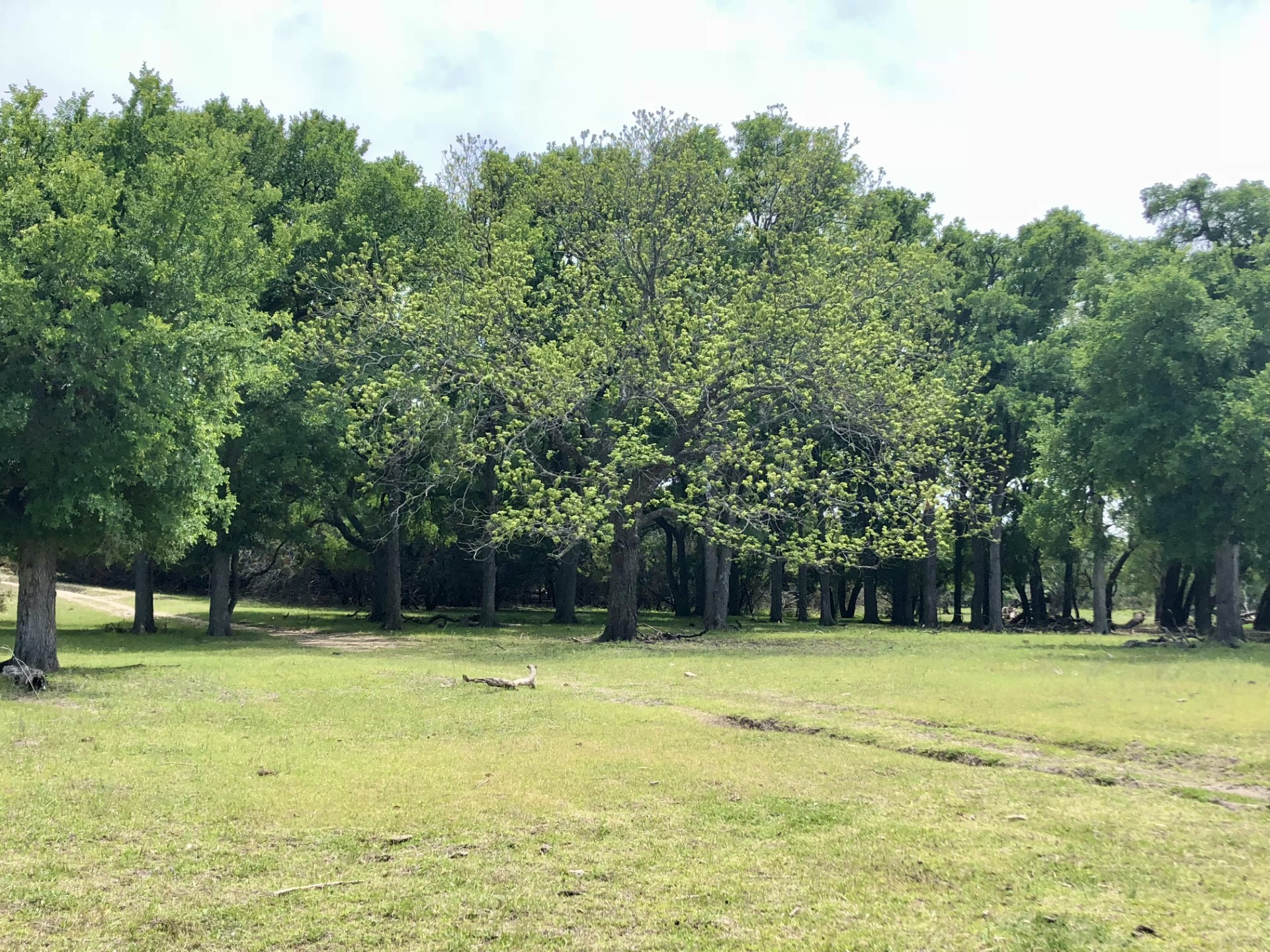 Tract 1 County Road 208 Lampasas TX 76550