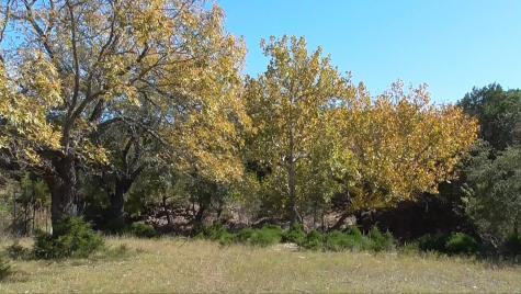 Tract 1 County Road 208 Lampasas TX 76550