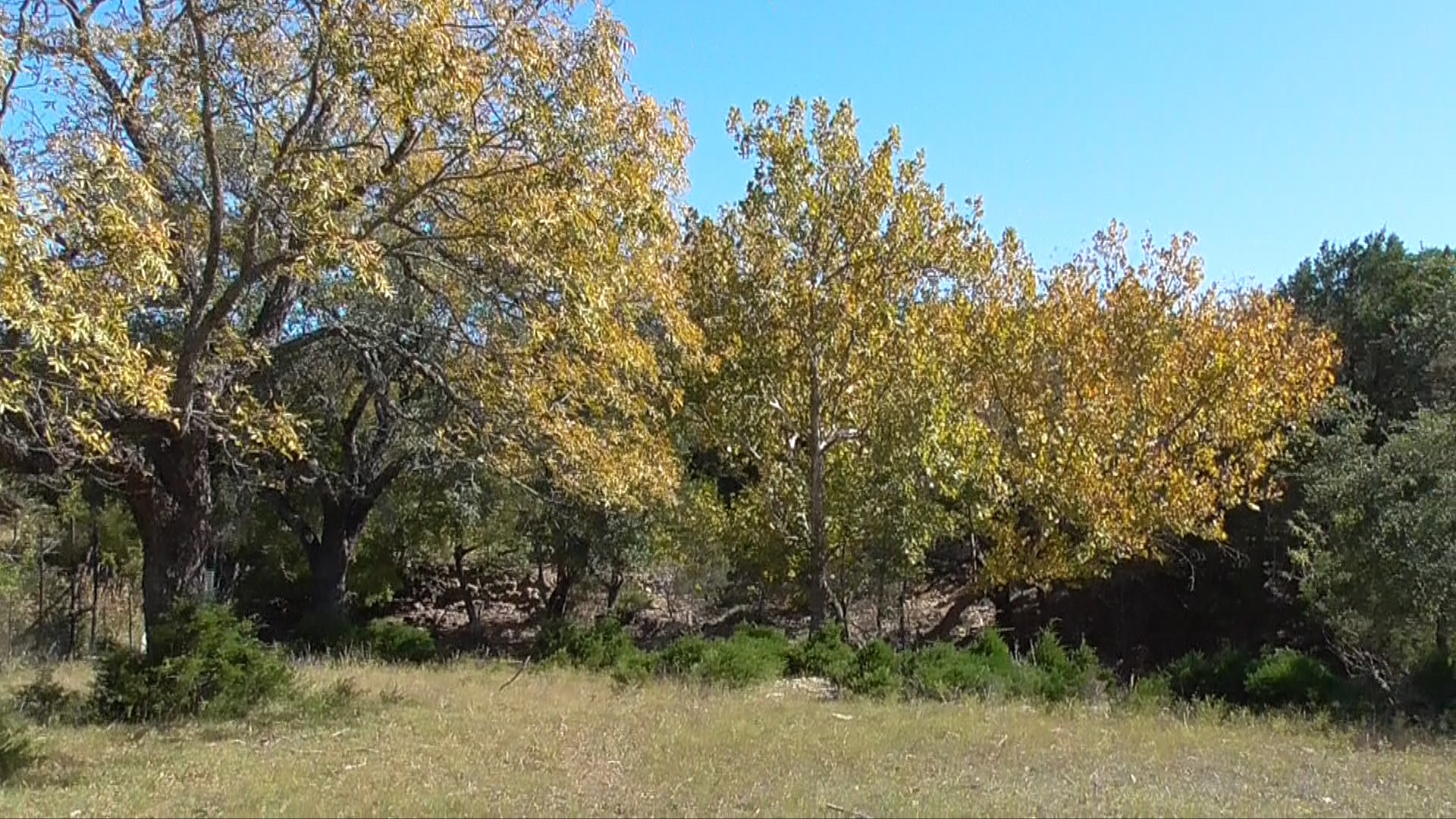 Tract 1 County Road 208 Lampasas TX 76550
