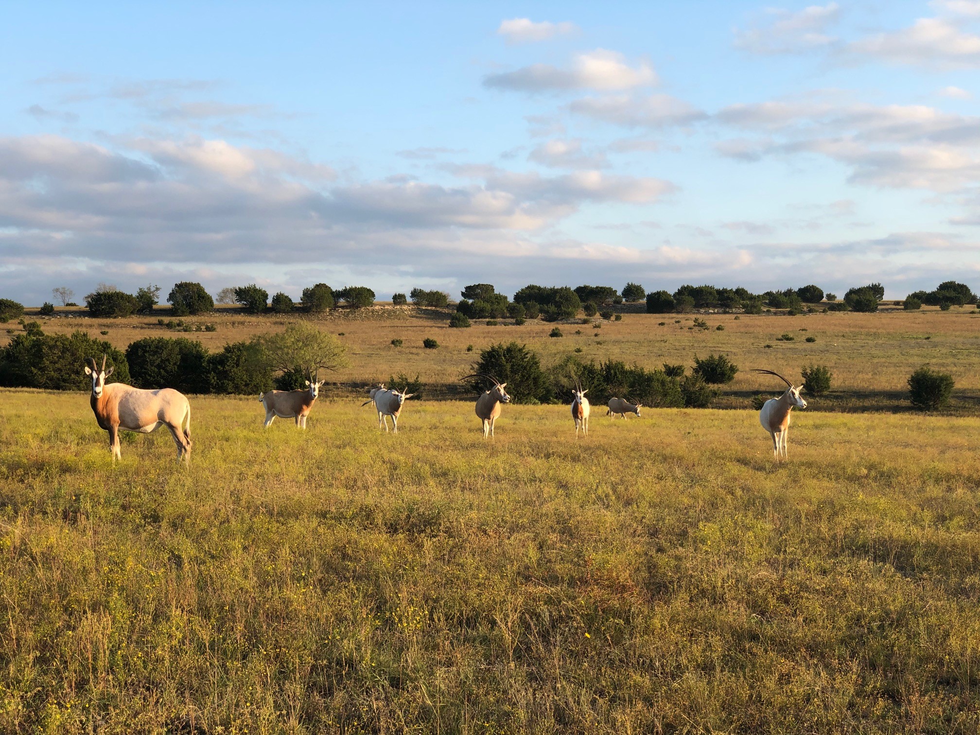 Tract 1 County Road 208 Lampasas TX 76550