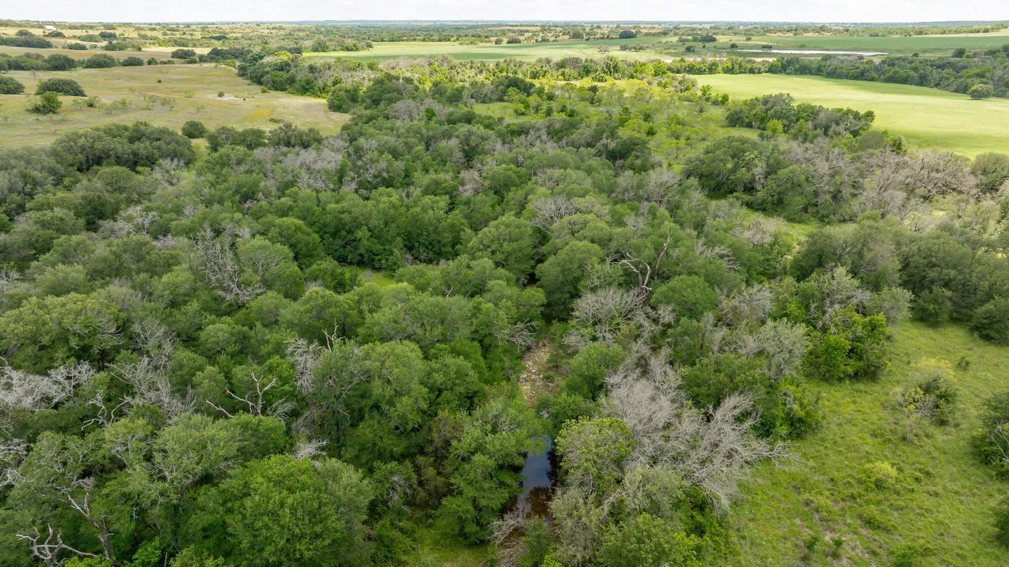 Lot 3 County Road 277 Dublin TX 76446