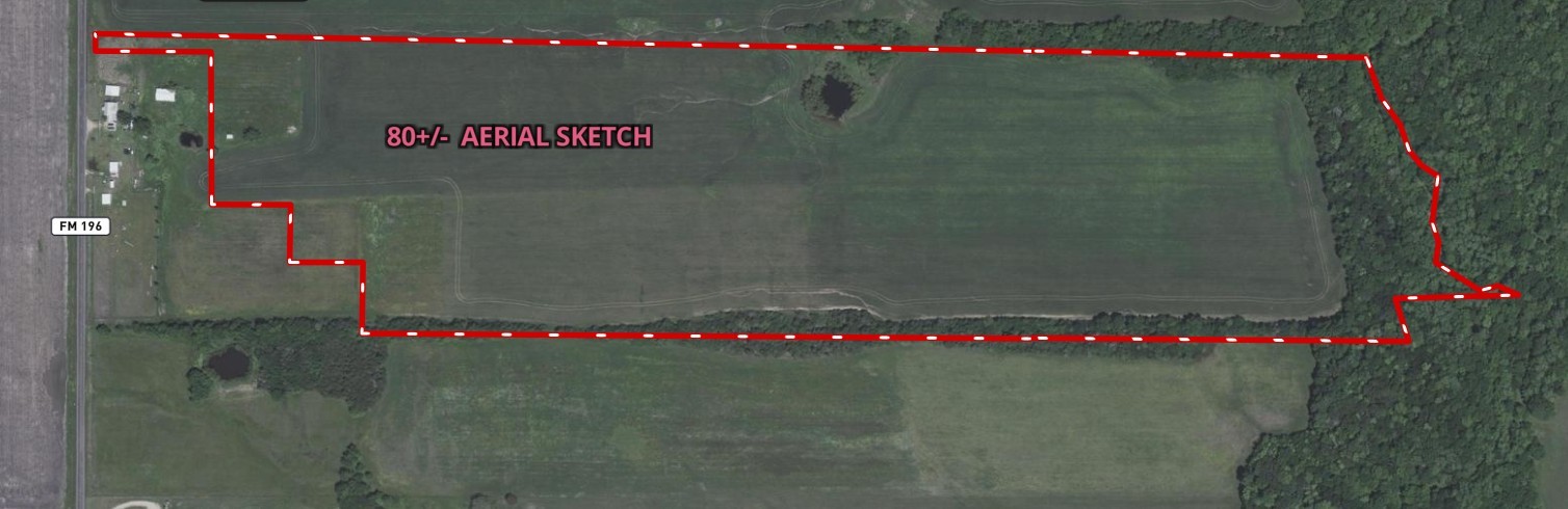 000 S Farm Road 196 Blossom TX 75416
