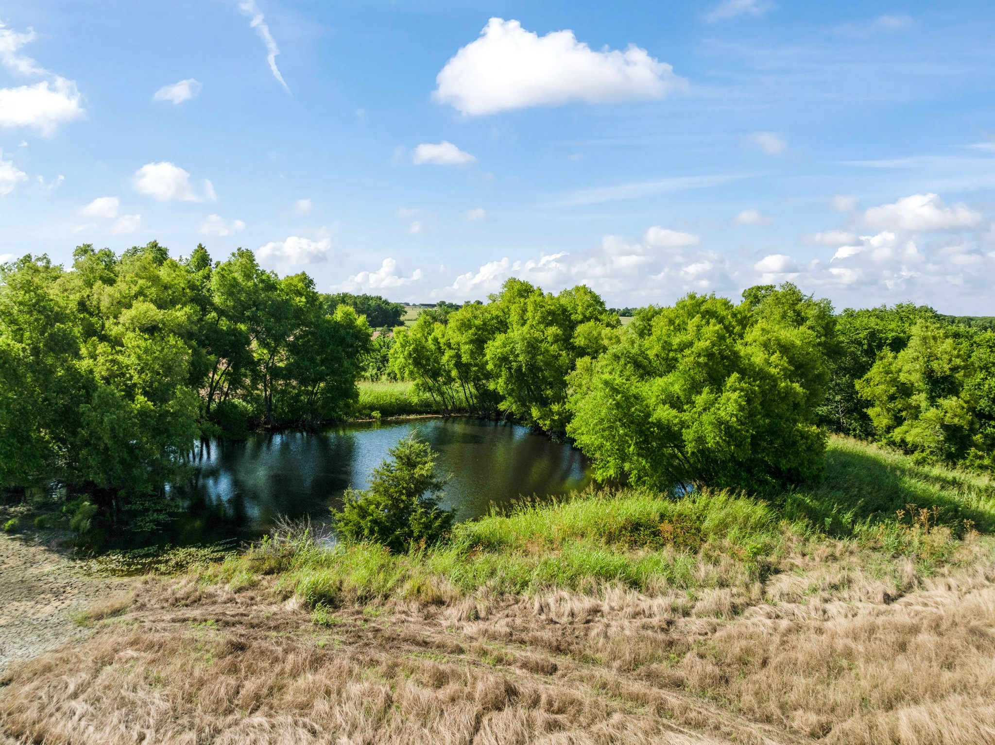 000 S Farm Road 196 Blossom TX 75416