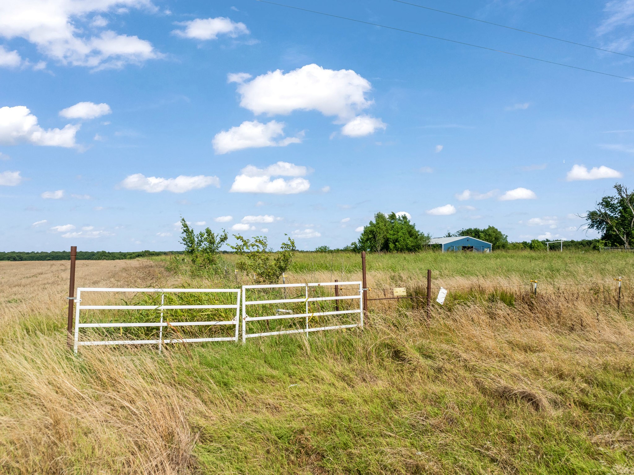 000 S Farm Road 196 Blossom TX 75416
