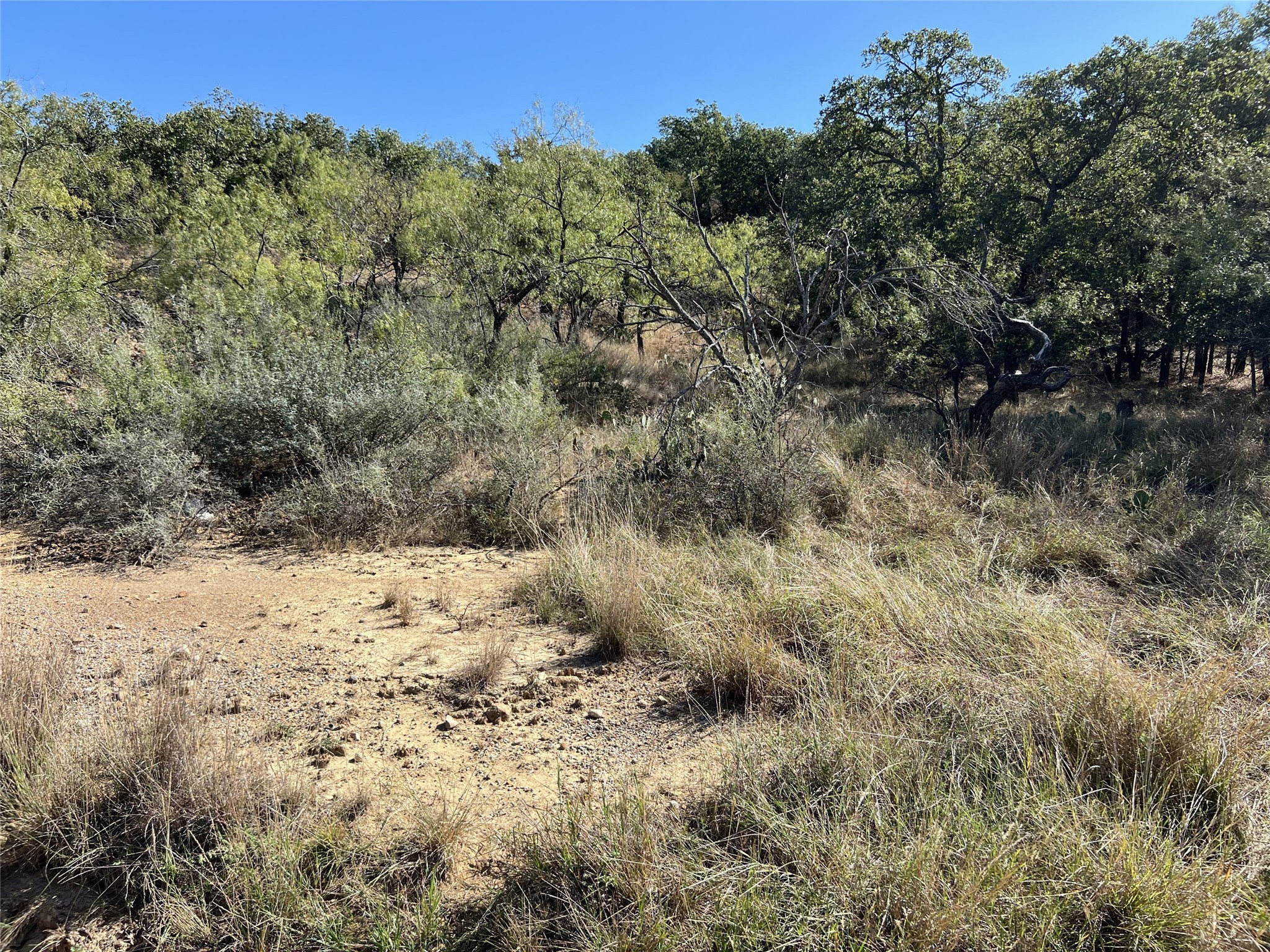 Tbd Live Oak Drive May TX 76857