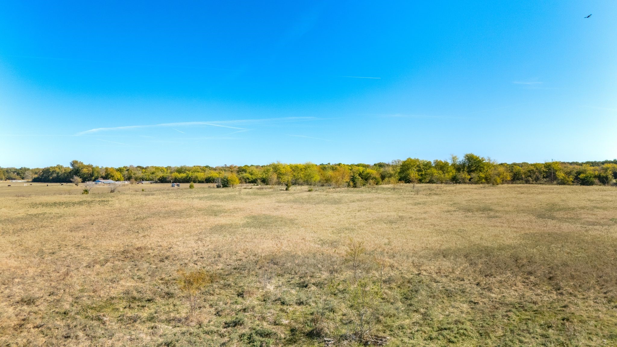 Tbd County Road 2025 Klondike TX 75448