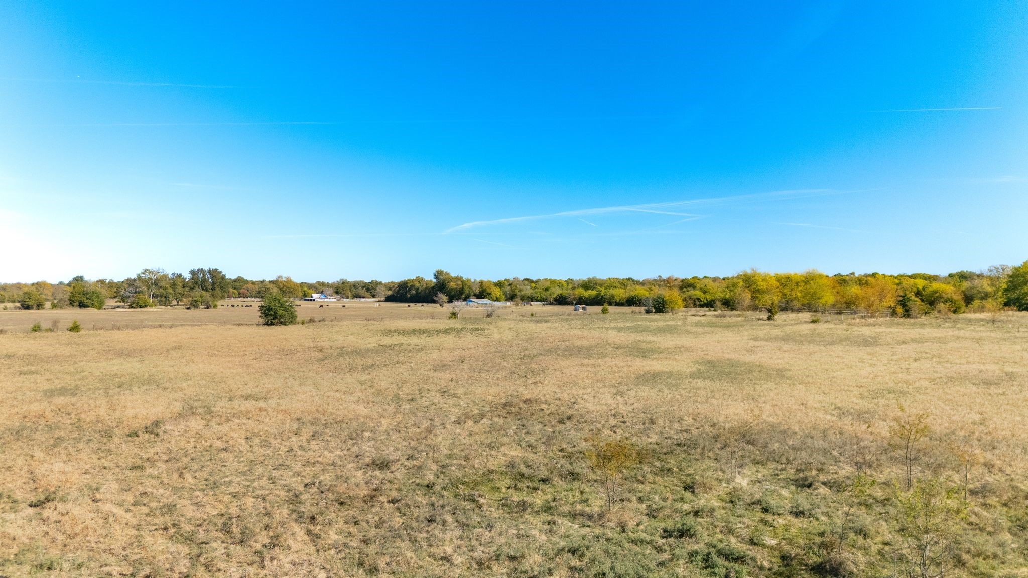 Tbd County Road 2025 Klondike TX 75448