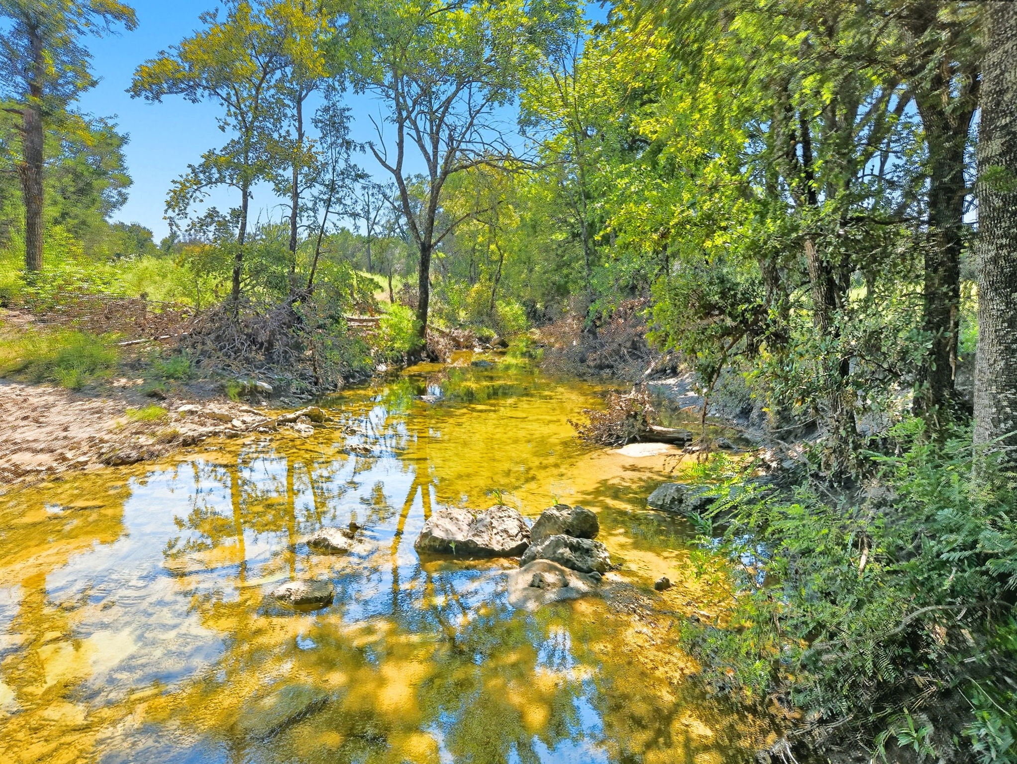 TBD-196.5 Acres Fm 116 Road Gatesville TX 76528