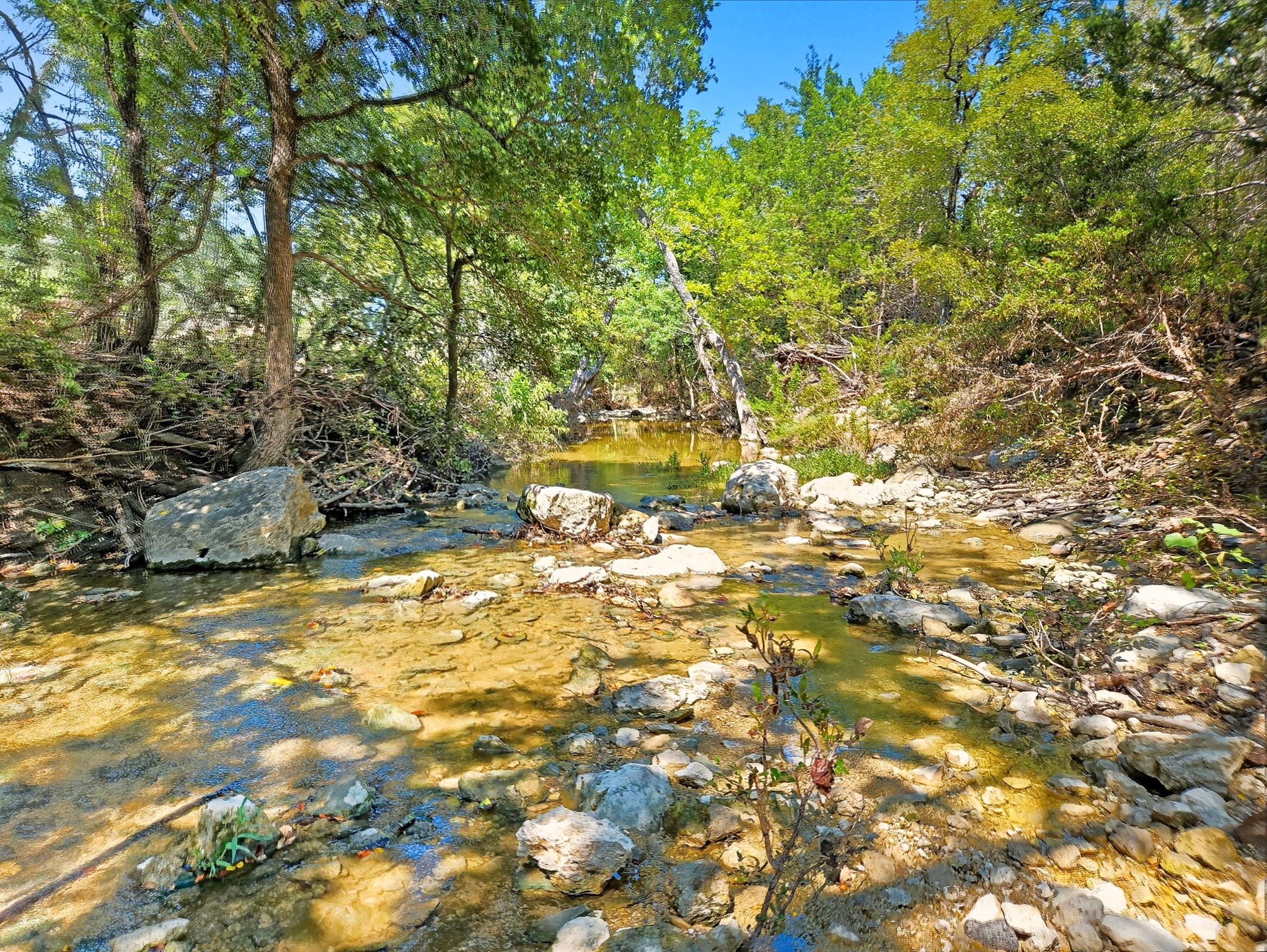 TBD-196.5 Acres Fm 116 Road Gatesville TX 76528